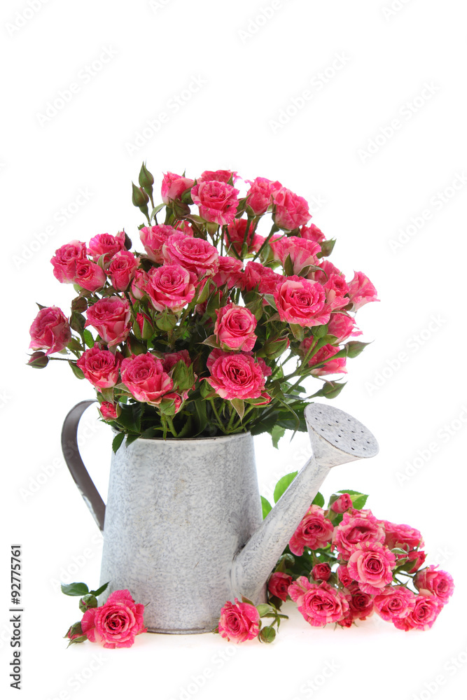 Fototapeta premium Bouquet of roses