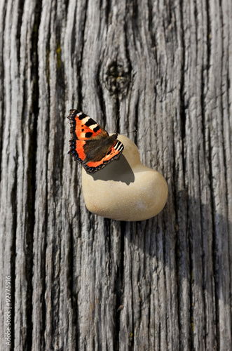 Schmetterling auf Herzchen