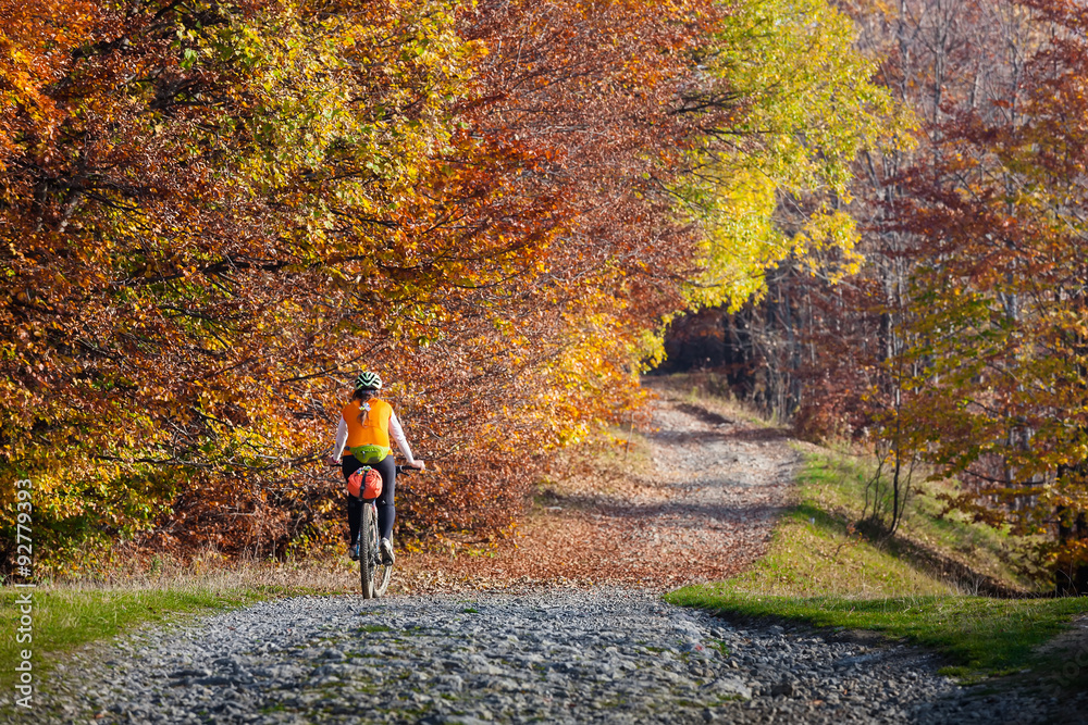 Obraz premium Mountain biker in autumn forest