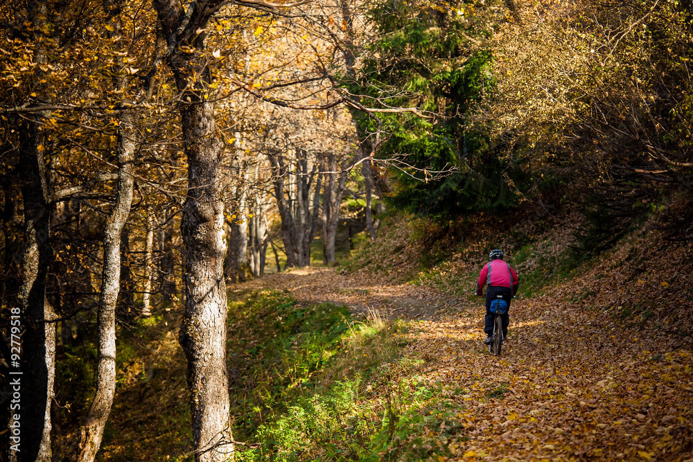 Mountain biker in autumn forest Mountain biker in autumn forest
