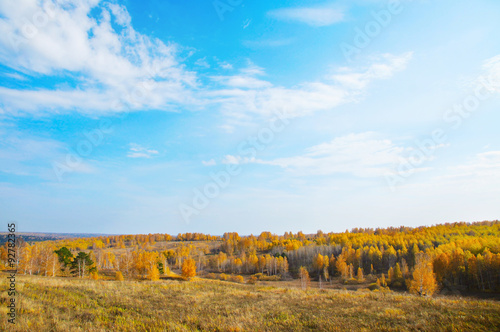 Golden fall. Beautiful autumn landscape with blue sky and yellow trees