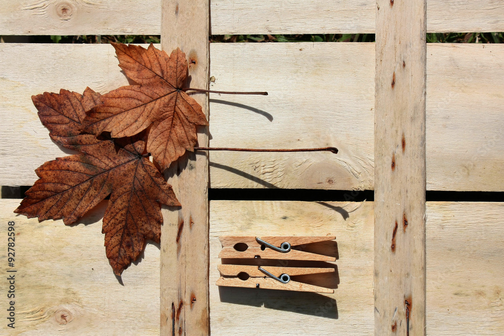 Relaxdays 100 Mollette Da Bucato In Legno Naturale Con Molla Metallo - Classiche, Per Stendere Panni, Fai Da Te, Decorazioni E Regali Creativi - 3