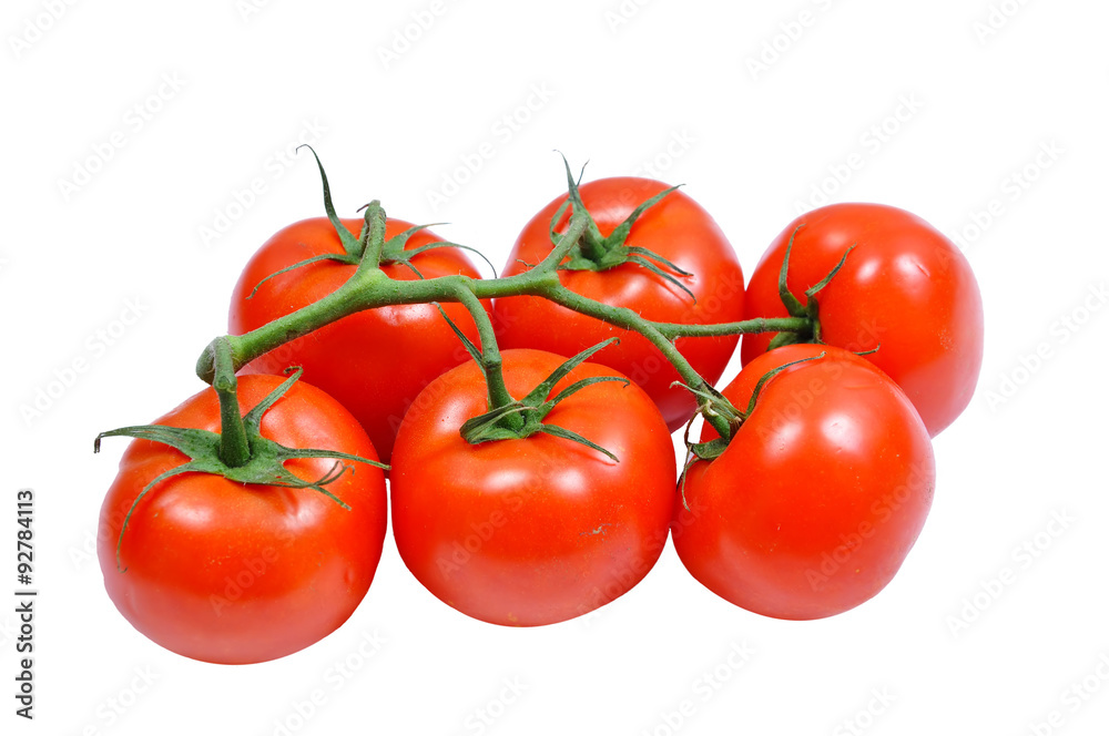 tomato tomato