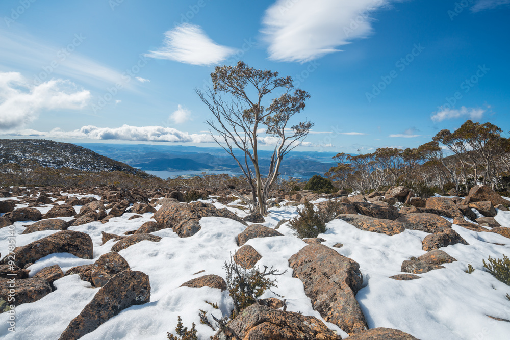 Fototapeta premium On the top of mount Wellington in winter season, Hobart city, Tasmania state, Australia.