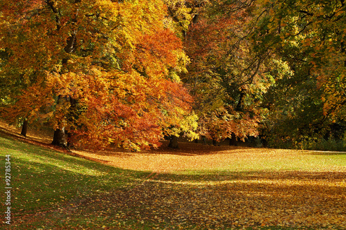 Herbst im Englischen Garten in München