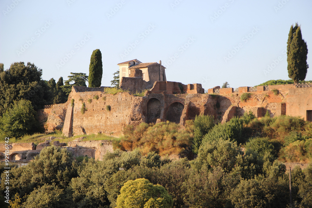 Fototapeta premium Rome,Italy,Palatine Hill,evening.