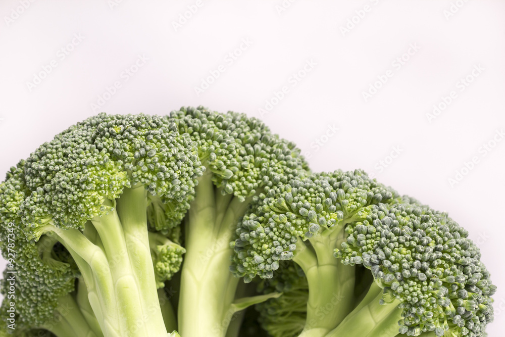 closeup of broccoli in white background closeup of broccoli in white background