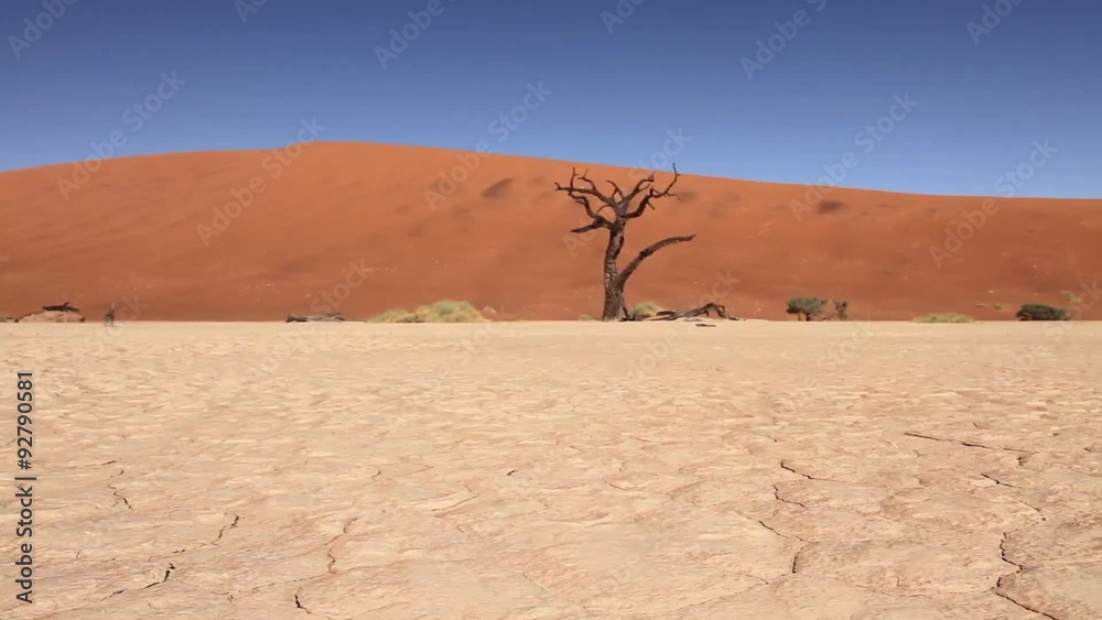 Dry cracked earth tracking shot in the Namibian desert with dead tree and red sand dune in background. Dry cracked earth tracking shot in the Namibian desert with dead tree and red sand dune in background.