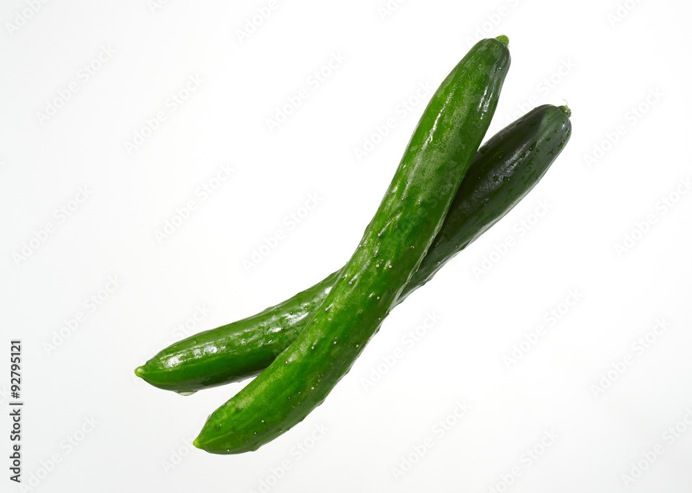 胡瓜 二本 胡瓜 二本