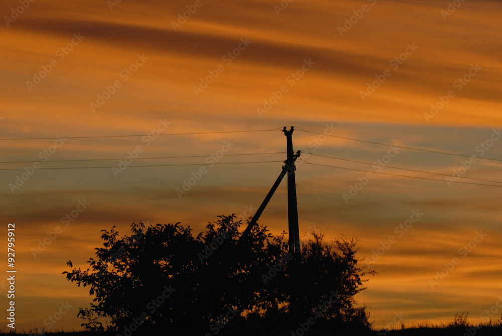 Obraz premium Black silhouette of electricity pylon and bushes. Sunset