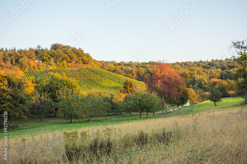 Agrarlandschaft mit Obstbäumen