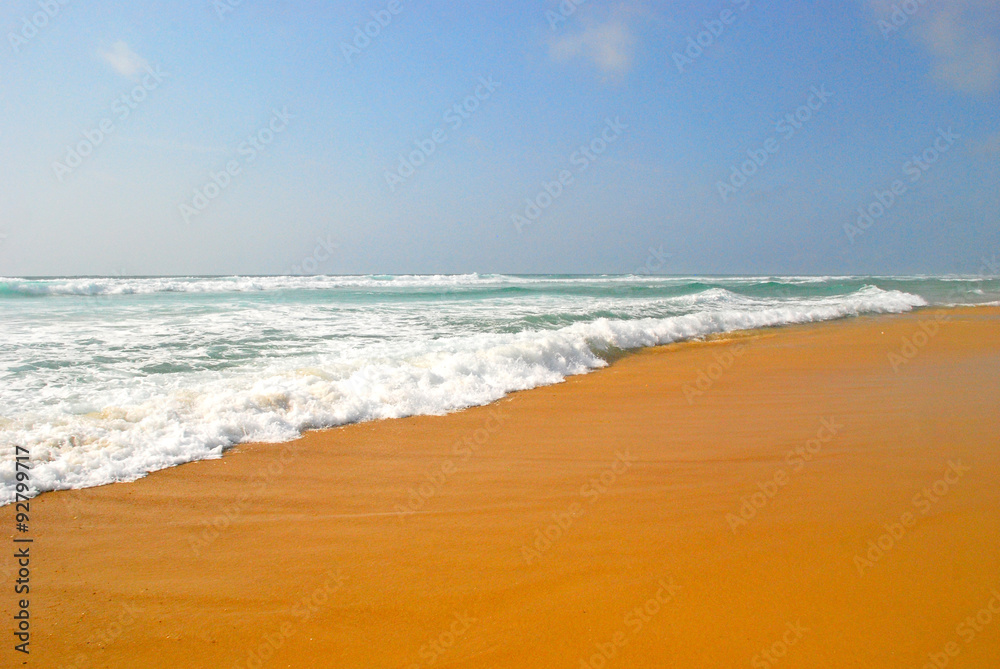 Beach landscape in Landes region Beach landscape in Landes region
