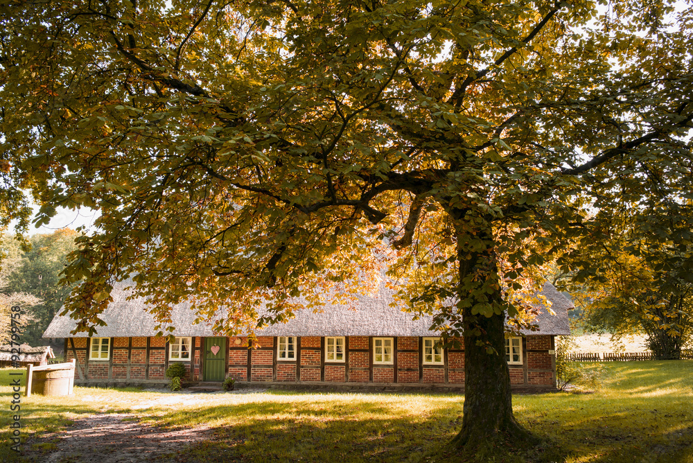 Fachwerkhaus in Wilsede in der Lüneburger Heide, Niedersachsen,