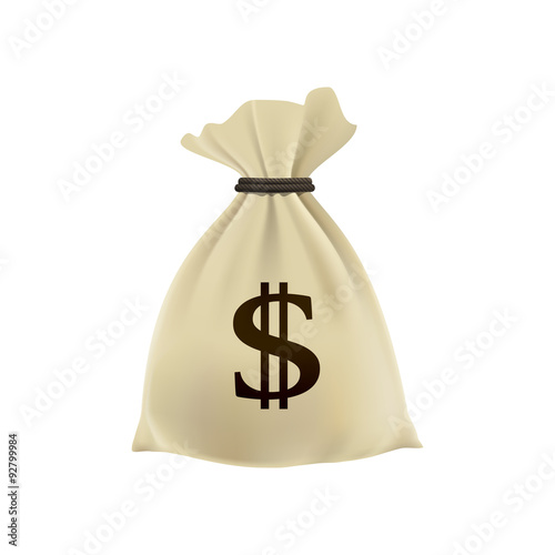 Bag with money. Fat cat. Vector illustration
