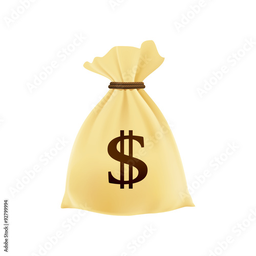 Bag with money. Fat cat. Vector illustration