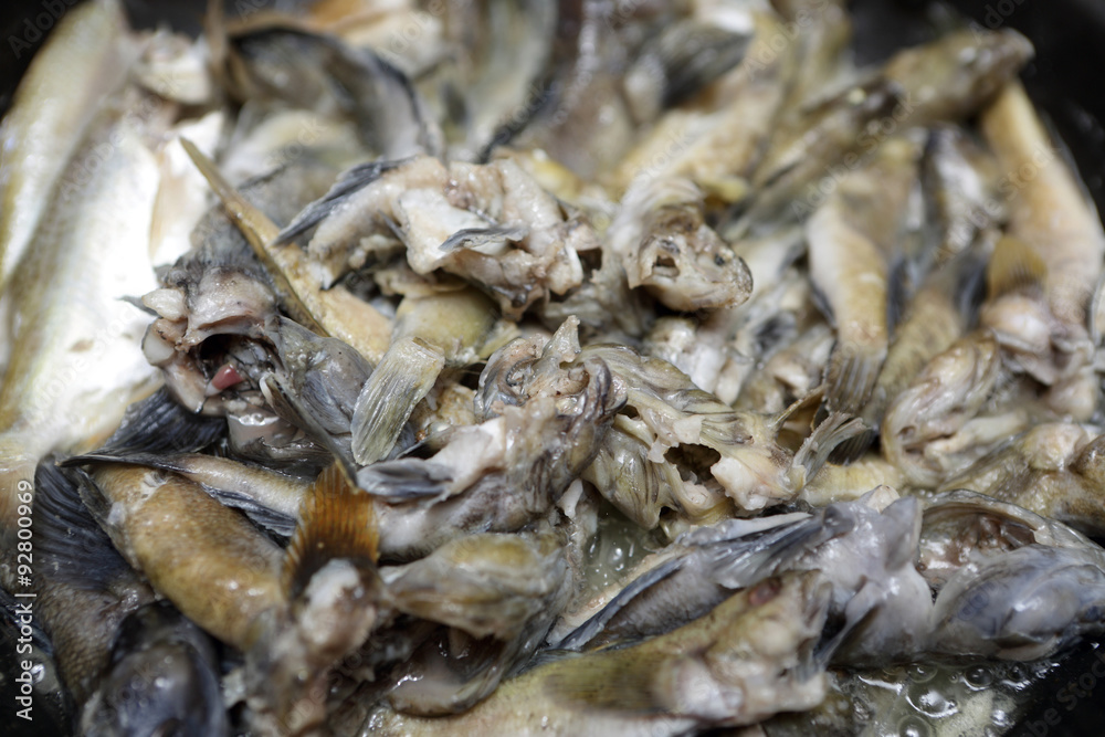 Cooking goby fish with sour cream Cooking goby fish with sour cream