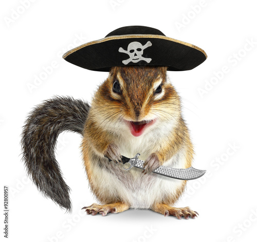 Konstfotografi Funny animal pirate, chipmunk with filibuster hat and sabre