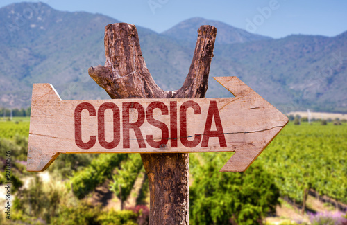 Corsica wooden sign with winery background photo