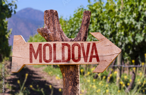 Moldova wooden sign with winery background photo