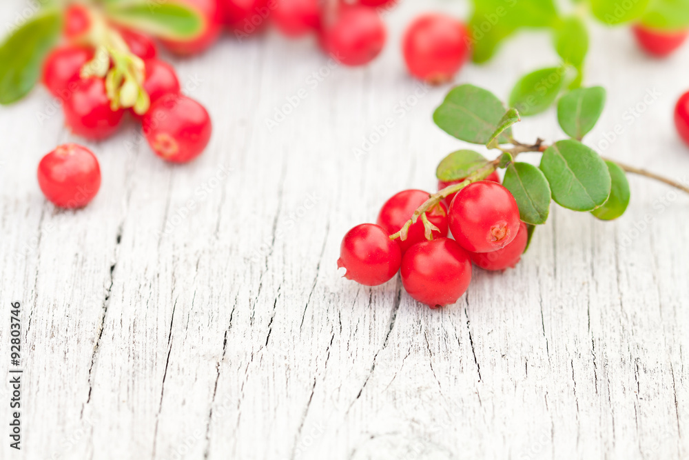macro image of fresh cowberry on the old white table macro image of fresh cowberry on the old white table