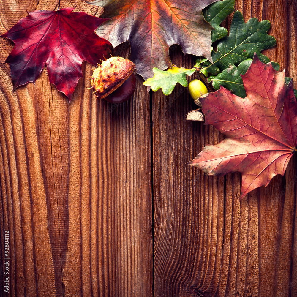 Abstract background of autumn leaves. Autumn background.