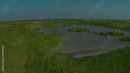 AERIAL, flying over birds in the lake. Flying birds egrets, herons and ibises over the lake and reeds. photo