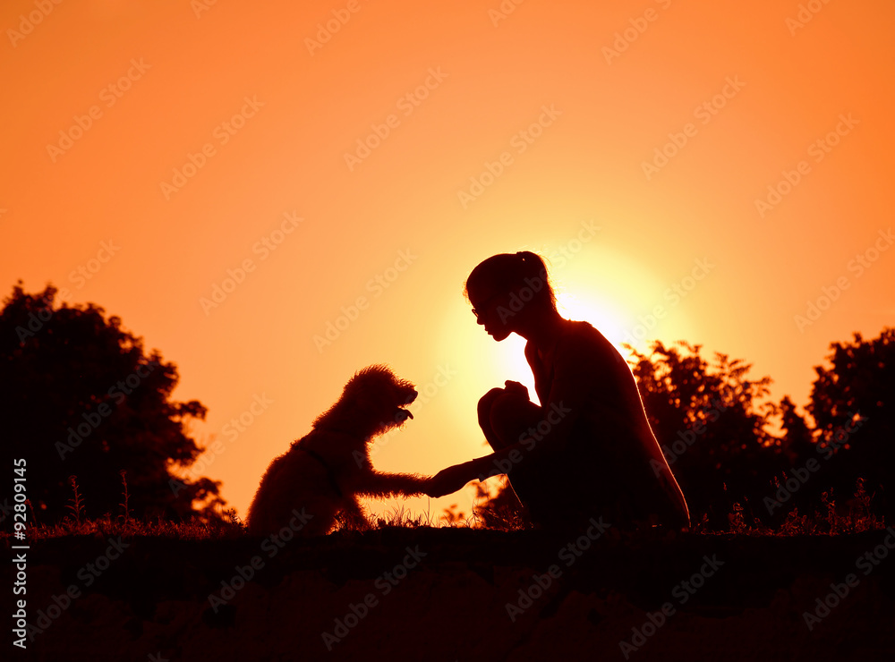 silhouette of girl holding dogs paw as friendship symbol
