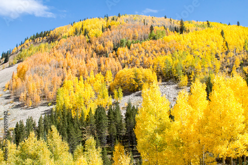 Mountaintop covered with aspen forest at fall peak color