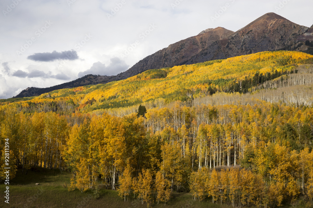 Kebler Pass Autumn