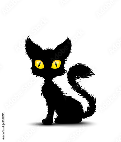 Black cat sitting isolated background