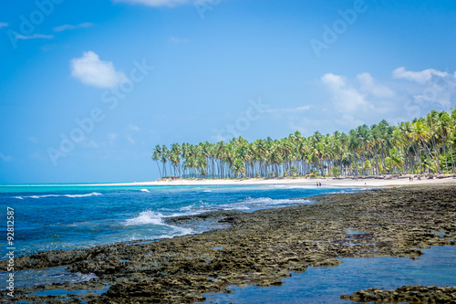 Fototapeta Naklejka Na Ścianę i Meble -  Brazilian Beaches - Praia de Carneiros, Pernambuco