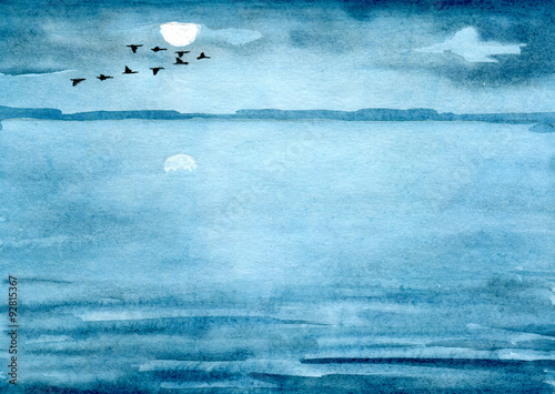 Birds fly