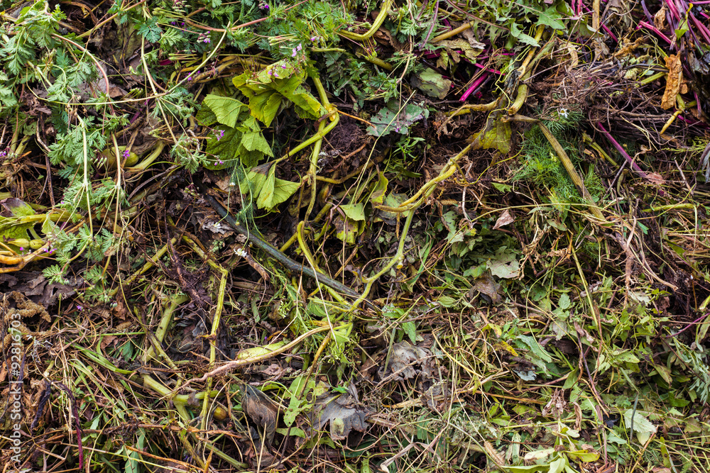 Compost pile