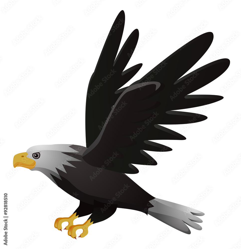 Obraz premium Flying eagle isolated vector image
