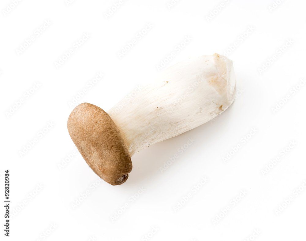 fresh mushrooms fresh mushrooms