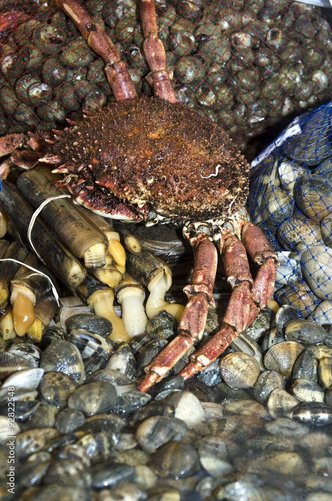 Puesto de marisco en el mercado de Cádiz. España. Puesto de marisco en el mercado de Cádiz. España.