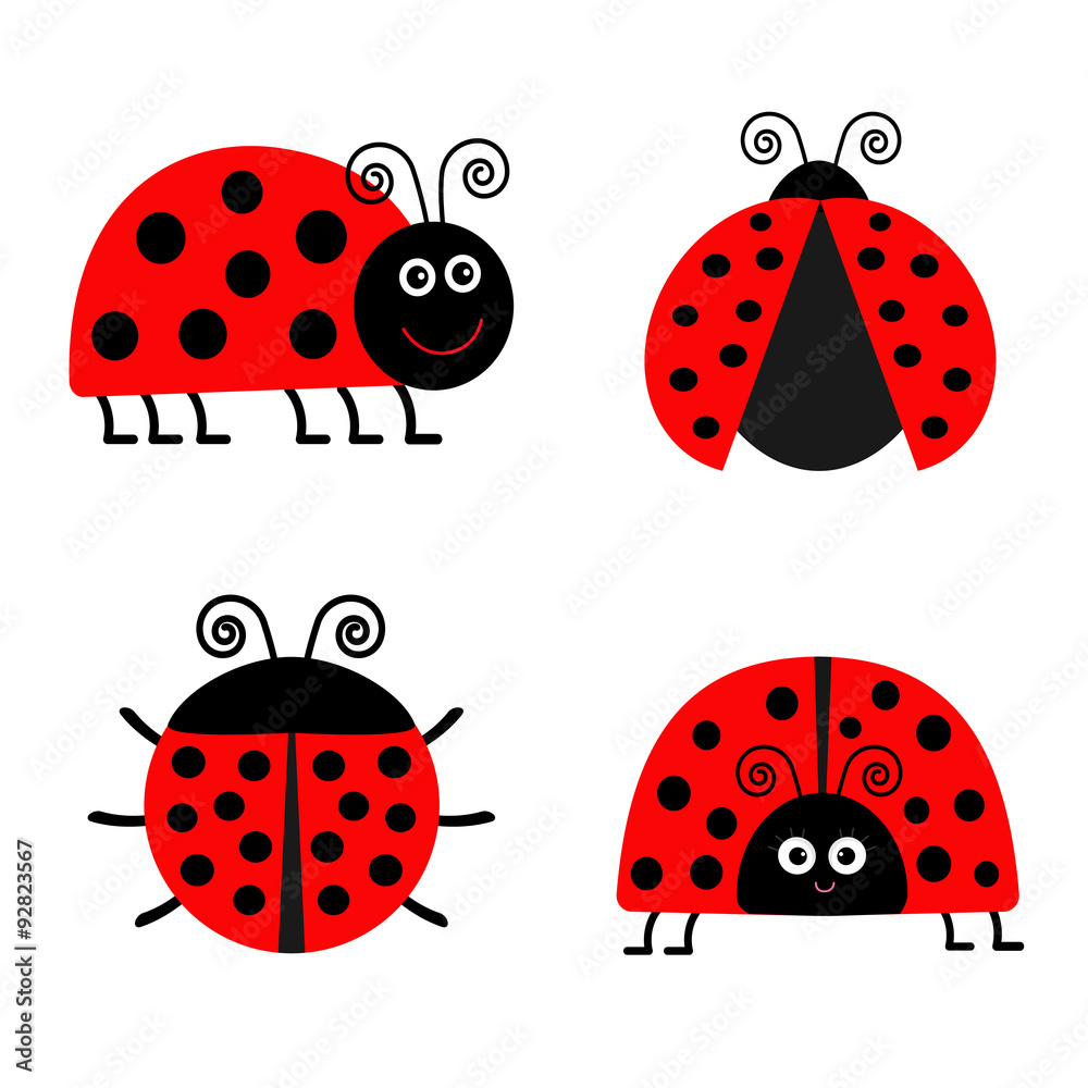 Naklejka premium Ladybug Ladybird icon set. Baby background. Funny insect. Flat design Isolated