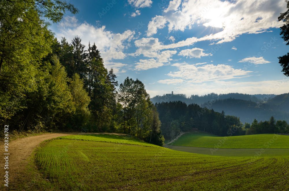 Waldwanderweg zur Burgruine Waldwanderweg zur Burgruine