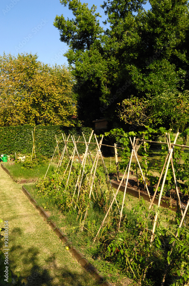 Vegetable garden Vegetable garden