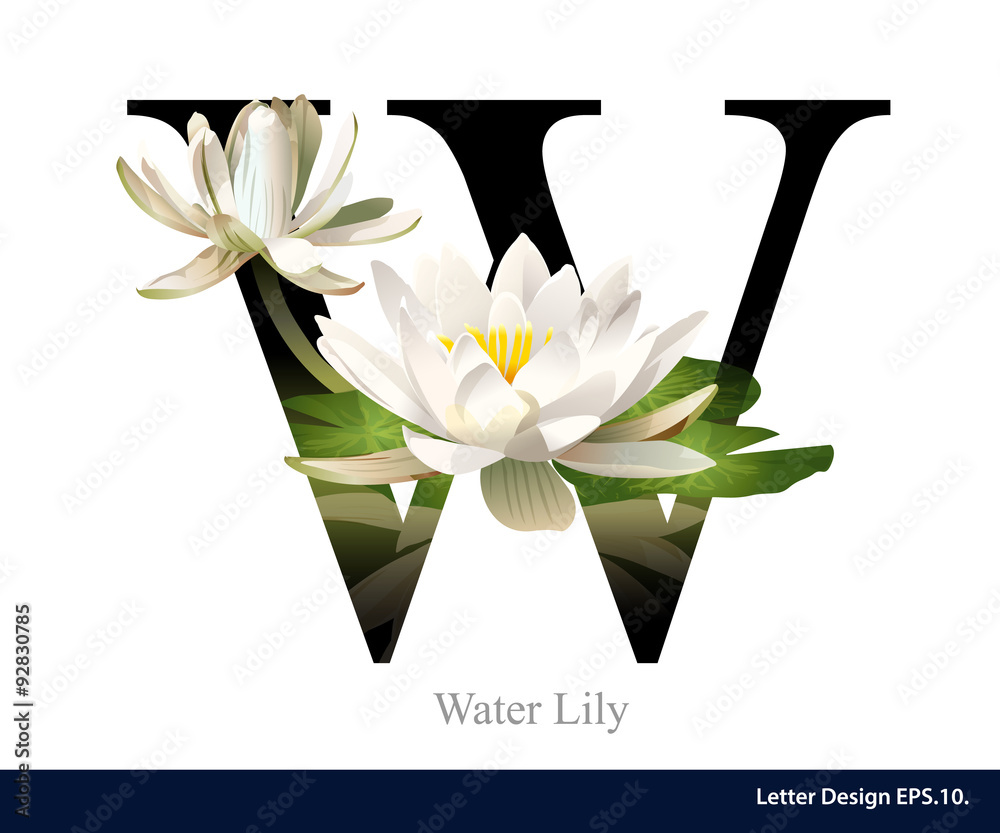 The water type alphabet
