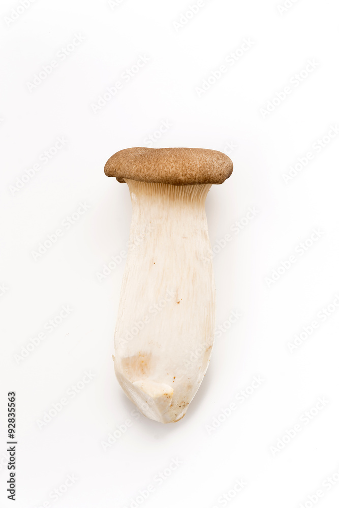 fresh mushrooms fresh mushrooms