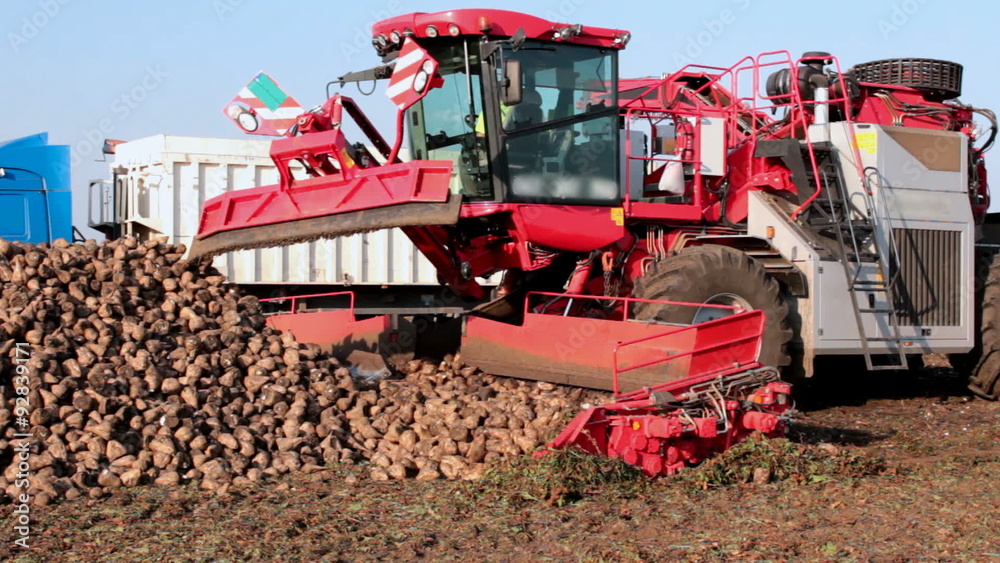 Modern machinery for sugar beet Modern machinery for sugar beet