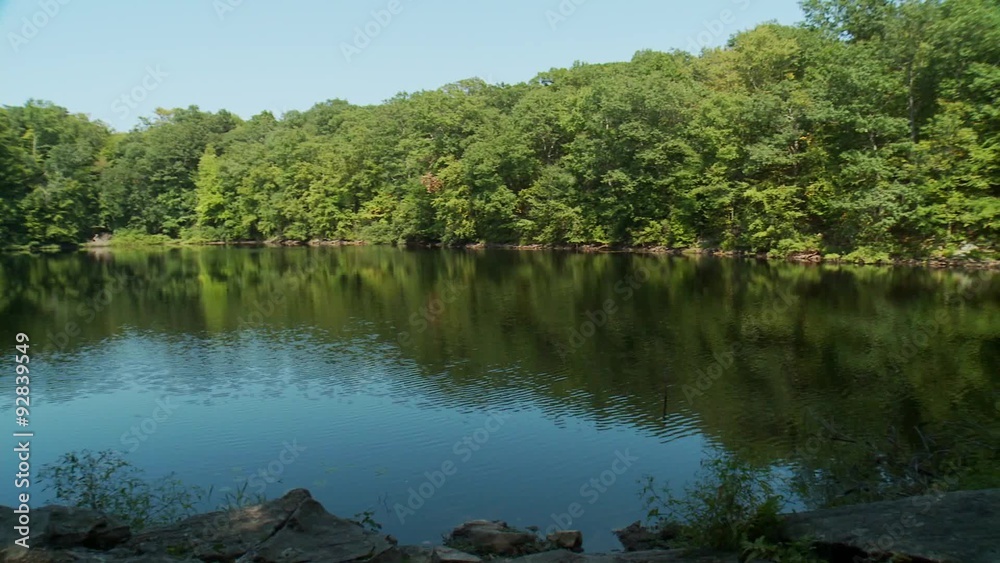 Beautiful lake surrounded by greenery Beautiful lake surrounded by greenery