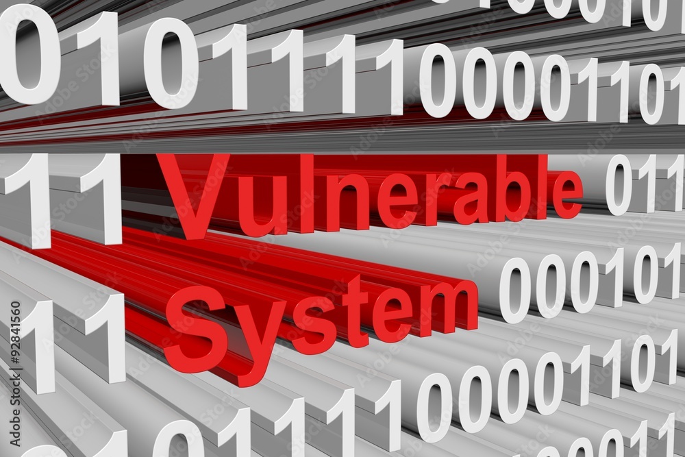 Vulnerable System is presented in the form of binary code Vulnerable System is presented in the form of binary code