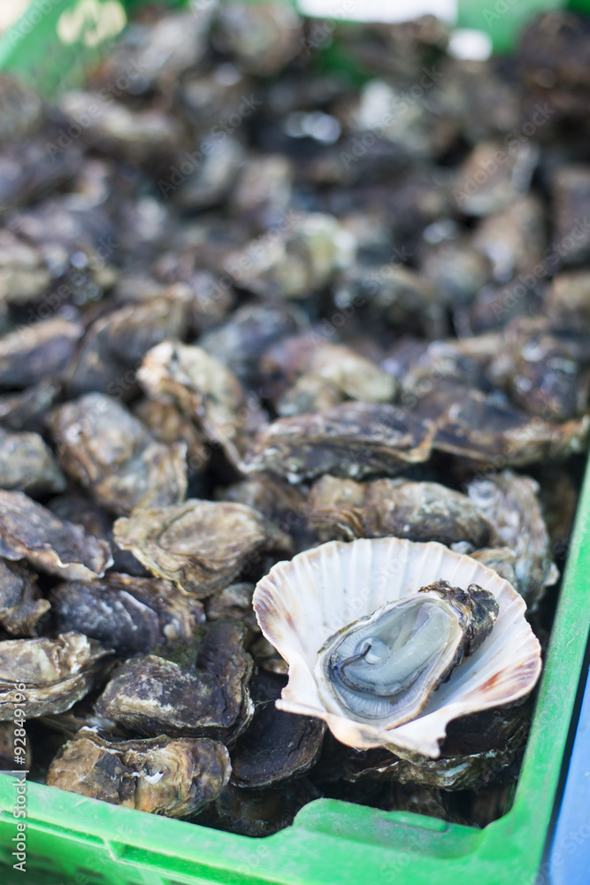 Display Of Fresh Oysters On Market Stall