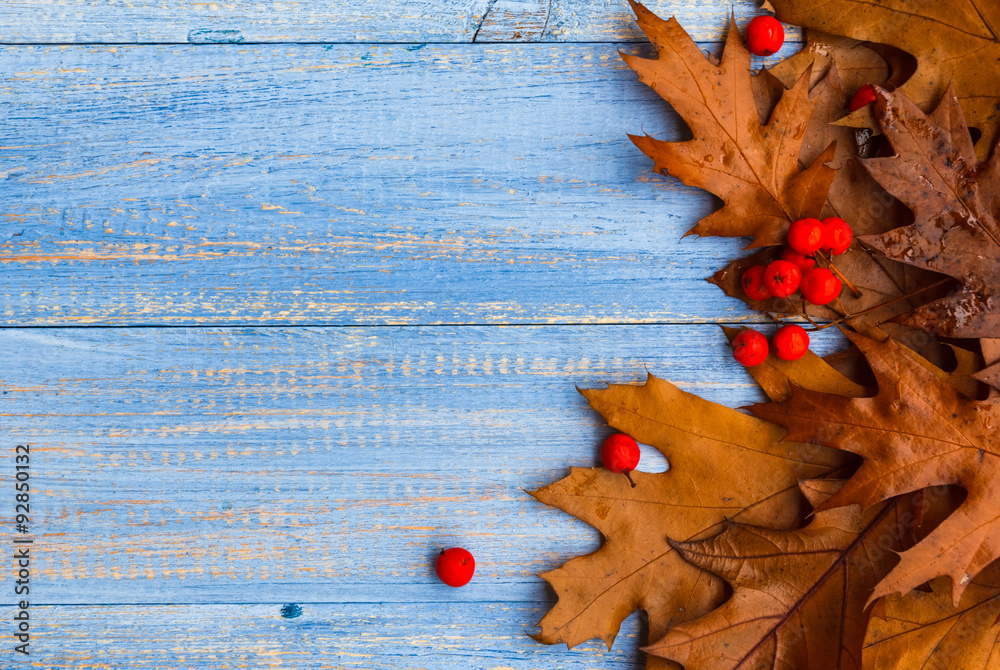 Obraz premium Vintage composition autumn fruit wooden background