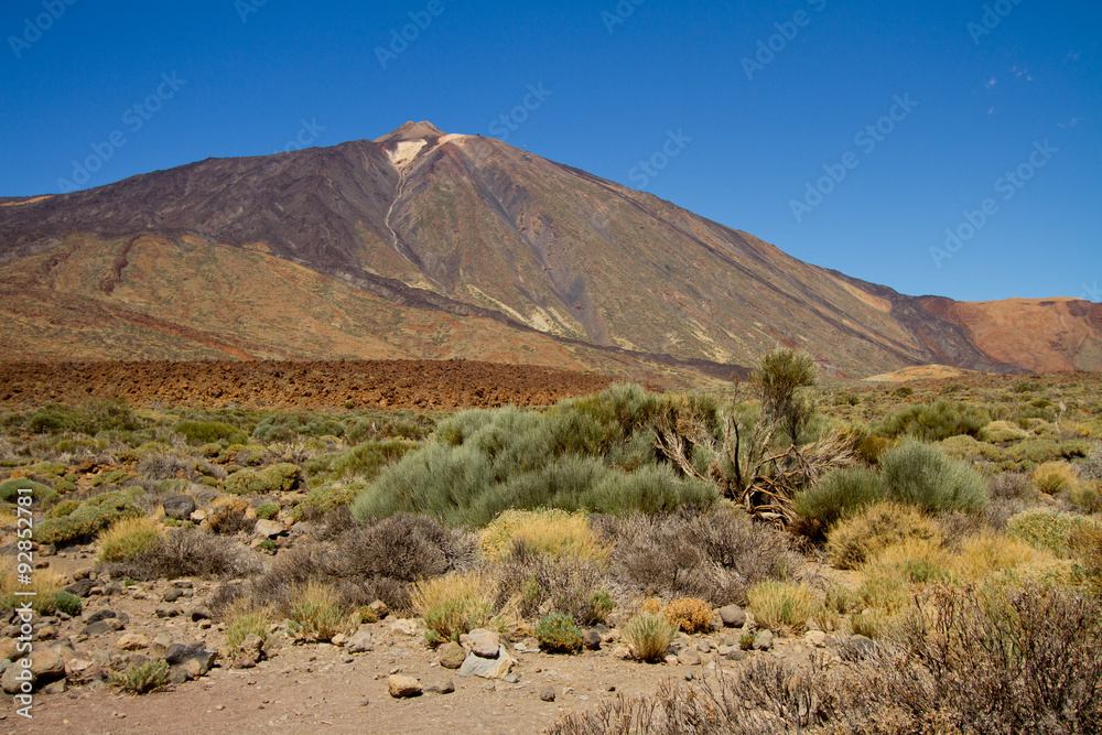 volcan del Teide, Tenerife - obrazy, fototapety, plakaty 