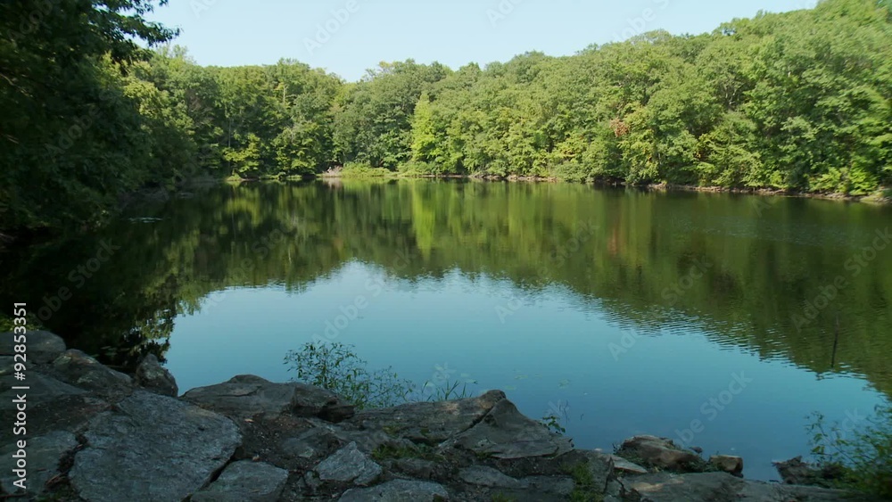 Beautiful lake surrounded by greenery Beautiful lake surrounded by greenery