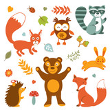Cute forest animals colorful collection