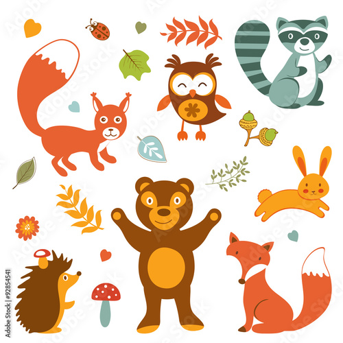 Cute forest animals colorful collection
